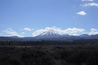 P1020299