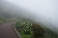 P1020720