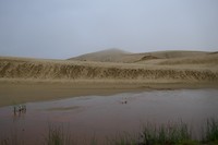 P1020740