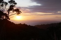 P1030101