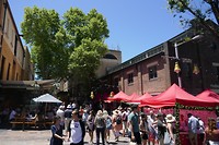 P1030112