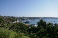 P1030580