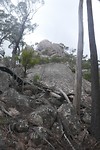P1040367