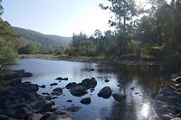 P1040516