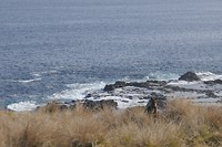 P1040685