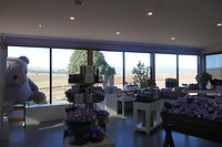 P1060621