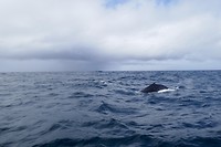 P1090398