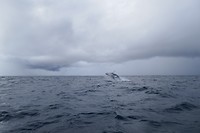 P1090408