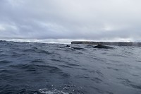P1090424