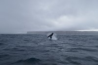 P1090431