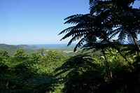 P1050601