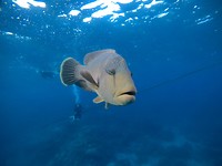 GOPR2965_1566708514059_high