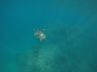 GOPR2657_1565688613593_high