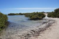 P1070569