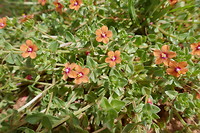 P1080433