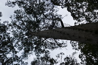 P1080453