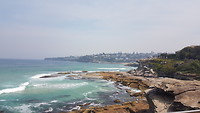 20191030_135207(0)
