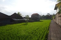 P1090286
