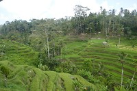 P1090589