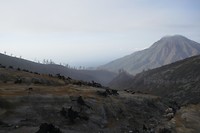 P1100155