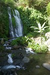 P1100166