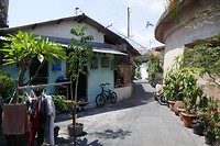 P1100592