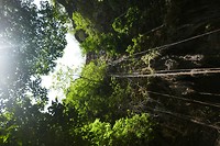 P1100645