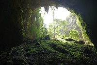 P1100665
