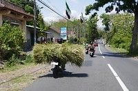 P1100880