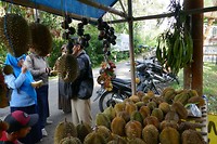 P1110010