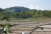 P1110028