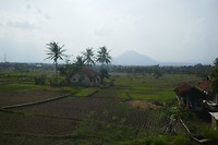 P1110106