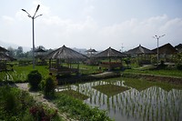 P1110129