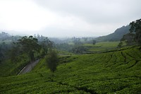 P1110140