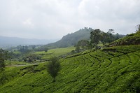 P1110158