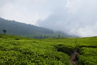 P1110202