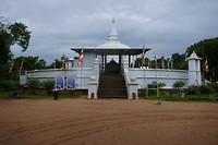 P1110562
