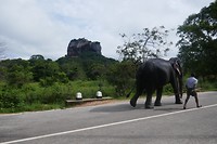 P1110747