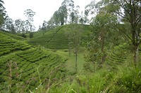 P1120256