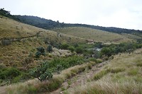 P1120842