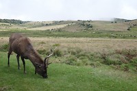 P1120901