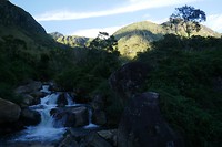 P1130011