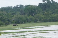 P1130163