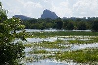 P1130261