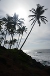 P1130406