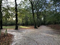 Lekker door het park