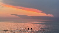 Laatste plaatje Piran