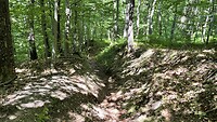 MTB parcours omlaag