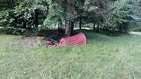 Wildkamperen