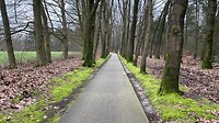 eerste stukkie bos van vandaag